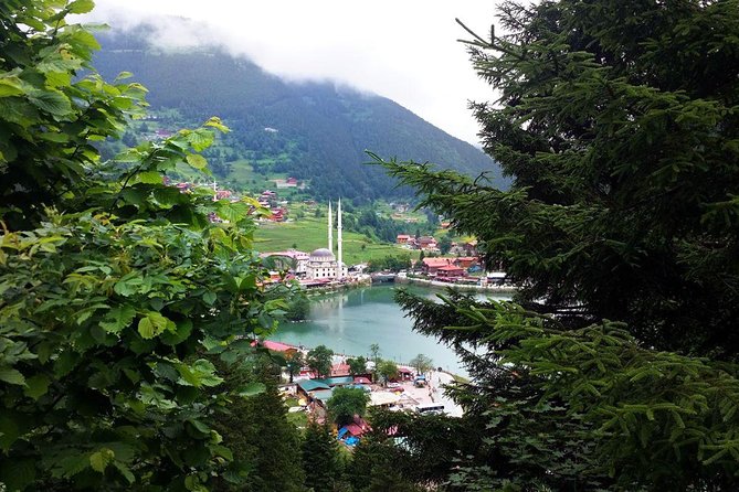 Full-Day Private Tour to Uzungöl from Trabzon - Starting Point and Transport Comfort in Trabzon