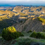 Full-day Private Wilderness tour in Vashlovani National Park - Discovering the Landscapes of Vashlovani National Park