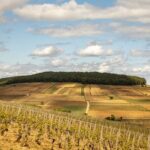 Full-Day Private Wine Tour in Côte de Beaune - Exploring the Côte de Beaunes Legendary Villages