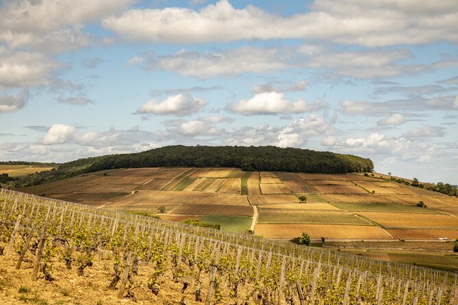 Full-Day Private Wine Tour in Côte de Beaune - Exploring the Côte de Beaunes Legendary Villages