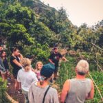 Full Day Rainforest Tour with Tasting and Swimming Time - Tasting Local Products on a Sustainable Eco-Farm