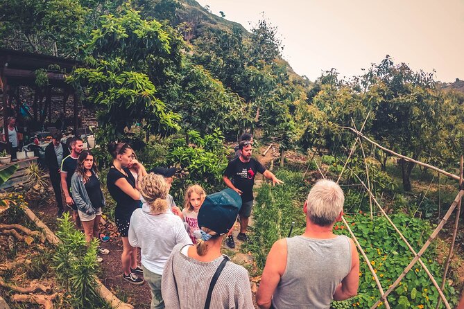Full Day Rainforest Tour with Tasting and Swimming Time - Tasting Local Products on a Sustainable Eco-Farm