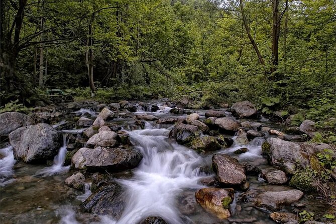 Full Day Sapanca and Masukiye Tour with lunch - Pickup and Transportation from Istanbul