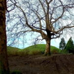 Full day Sete Cidades Lagoa de Fogo - Starting Point and Pickup Details in São Miguel