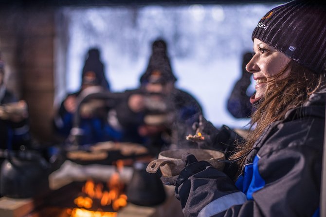 Full Day Snowmobile Safari into the Lappish Wilderness in Rovaniemi - The Snowmobile Experience and Arctic Scenery