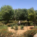 Full Day to Blue Grotto, Marsaxlokk, Kalanka Bay, Tarxien Temples - Kalanka Bay: Swimming or Walking in Coastal Beauty