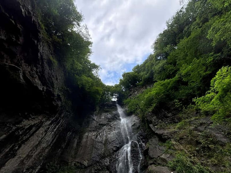 Full Day Tour from Batumi to Waterfalls - Starting Point and Transportation Details in Batumi