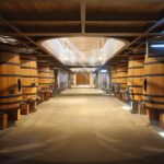 Full Day Tour Growth Classified Chateau and Village Saint Emilion - Discover Saint-Émilion’s UNESCO Heritage Charm