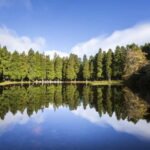 Full-day tour: The best of Terceira Island - Starting at Monte Brasil: Panoramic Views of Angra do Heroísmo