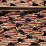 Full Day Tour - Transfer to Porto from Lisbon with Stops - Departing from Lisbon for a Scenic Journey Toward Porto