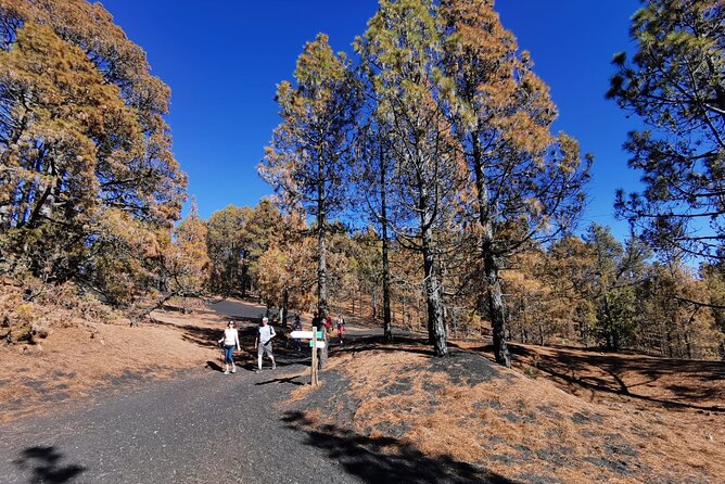 Full Day Tour with Hiking to the Tajogaite Volcano - The 3-Hour Hiking Route from Llano del Jable