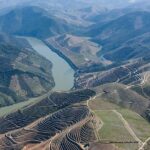 Full Day, Wine Tasting, River Cruise and Lunch from Porto - Scenic Drive Through Douro’s Vineyards and Forests