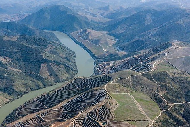 Full Day, Wine Tasting, River Cruise and Lunch from Porto - Scenic Drive Through Douro’s Vineyards and Forests
