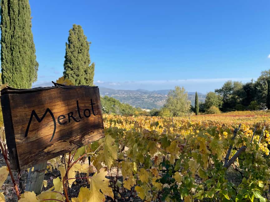 Full-Day Wine Tour in Bellet & Saint-Paul de Vence From Nice - How this wine tour highlights Bellet’s hidden charm
