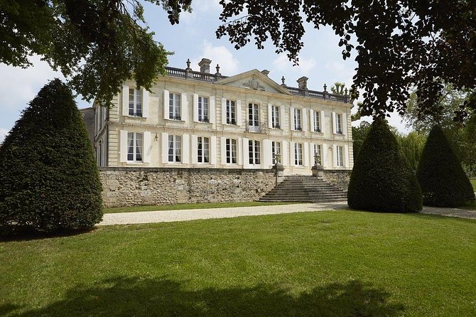 Full-day wine tour in Saint-Emilion (Premium Sedan) - Visiting the Vineyards at Clos Fourtet