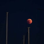 Full Moon Magic  2h Night Sailing in Sotogrande - The Unique Full Moon Experience in Sotogrande