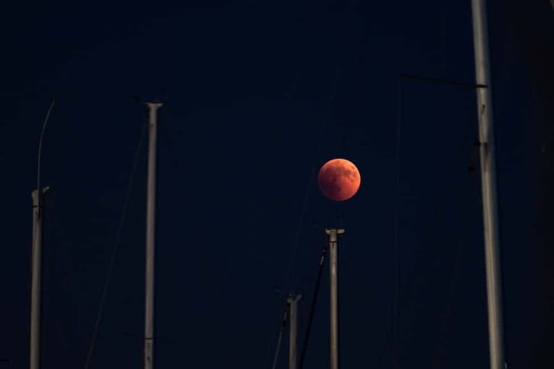 Full Moon Magic  2h Night Sailing in Sotogrande - The Unique Full Moon Experience in Sotogrande