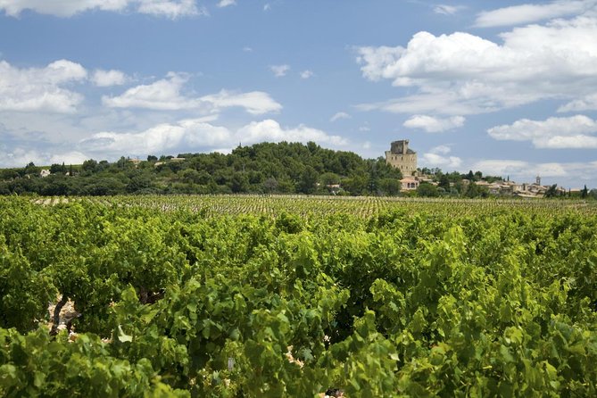 Full private day Avignon Chateuneuf du pape wine tasting - Key Points