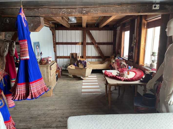 Full steam museum - Guided Sami Culture escursion - The Sami Guide: Personal Stories and Cultural Expertise