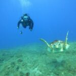 Fun Dive for Certified Divers in Tenerife - Choosing the Perfect Dive Site for Your Adventure