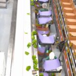 Funchal Agriculture Green Tour - Exploring the Agriculture School and Grafting Techniques