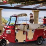 Funchal: Best Viewpoints Guided Tuk Tuk Tour - Spectacular Views from Barreirinha and Vila Guida