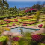 Funchal: Botanical Garden and Old Town Private Tuk-Tuk Tour - Discovering the Madeira Botanical Garden in Bom Sucesso