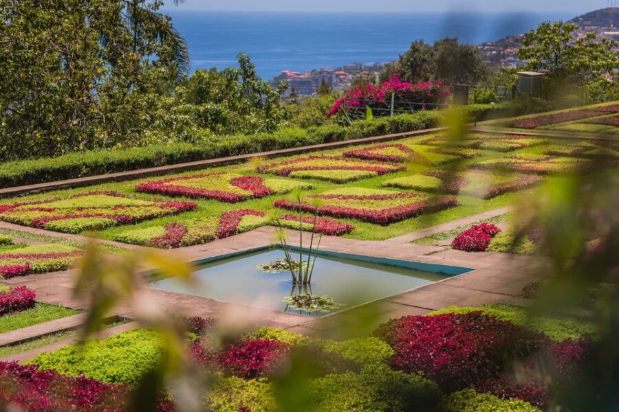 Funchal: Botanical Garden and Old Town Private Tuk-Tuk Tour - Discovering the Madeira Botanical Garden in Bom Sucesso