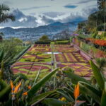 Funchal: Botanical Garden & Old Town Tour by TukTuk (1h45) - Starting Point and Pickup Arrangements in Funchal