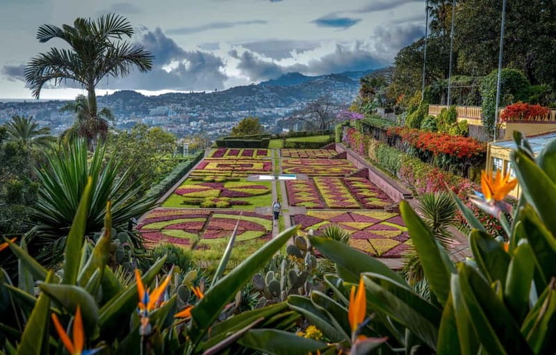 Funchal: Botanical Garden & Old Town Tour by TukTuk (1h45) - Starting Point and Pickup Arrangements in Funchal
