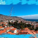 Funchal City Historical Tuk-Tuk Private Tour by MadTuk - Visiting the Museu Quinta das Cruzes