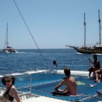 Funchal: Dolphin and Whale-watching Catamaran Tour - What to Expect During the 3-Hour Ocean Adventure