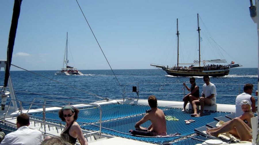 Funchal: Dolphin and Whale-watching Catamaran Tour - What to Expect During the 3-Hour Ocean Adventure