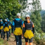 Funchal: Half-Day Beginner-Friendly Canyoning Experience - Navigating the UNESCO-Listed Treebeards and Endemic Plants