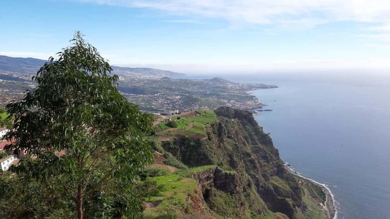 Funchal: Half-Day South Madeira Island Private Tour - Exploring Pico da Torre and Camara de Lobos
