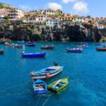 Funchal highlights 5h Private Tour in Madeira - Monte Sledges and Panoramic Views of Funchal