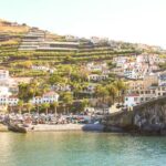 Funchal: Hop-On Hop-Off Bus Tour - Discovering Funchal’s Historic and Cultural Landmarks