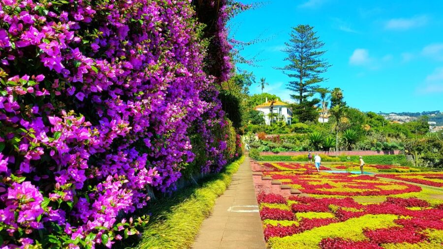 Funchal: Madeira Botanical Garden Tuk-Tuk Tour + Old Town - Starting Point and Private Group Experience