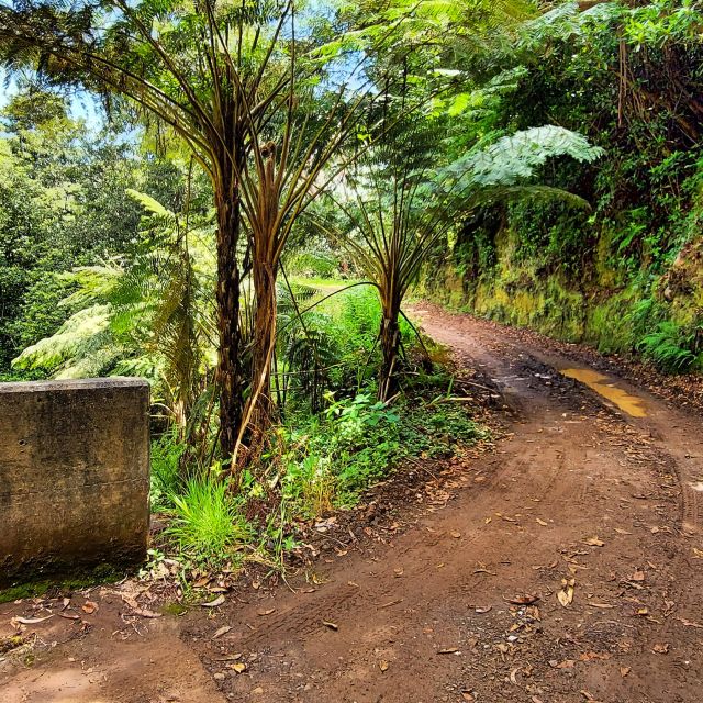 Funchal: Madeira Island 4x4 Private Customizable Tour - Visiting Madeira’s Natural Swimming Pools in Porto Moniz