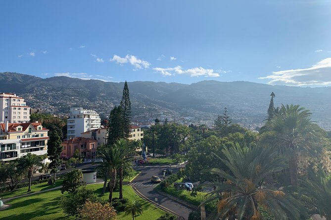 Funchal Private Transfers Service to Madeira Airport - How the Private Transfer Service Operates in Funchal