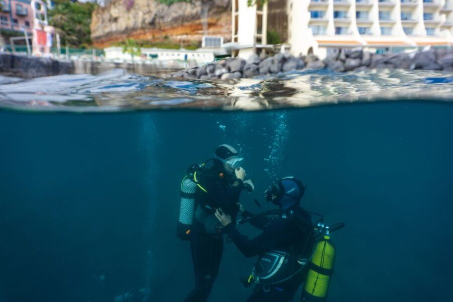 Funchal: Scuba Diving Experience for Beginners - Madeira Divepoint: The Central Meeting Hub