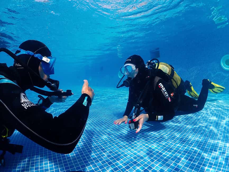 Funchal: Scuba Diving Experience for Beginners - Clear Instructions and Seamless Logistics