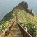 Funchal : Sunday Market - South East Tour - Exploring Machico Bay and Its Water-Filled Valley