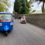 Funchal: Toboggan and Old Town Experience with Tukway - Visiting Monte Village and the Church of Our Lady of the Mount