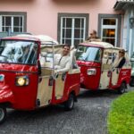Funchal: Tuk Tuk Tour to the Most Breathtaking Viewpoints - Comfort and Practicalities During the Tour