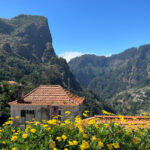 Funchal: Valley of the Nuns tour by tuk tuk - Key Points