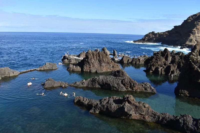 Funchal: Waterfalls, Volcanic Pools, and Fanal Forest Tour - Scenic Drive Through Madeira’s Northern Coast