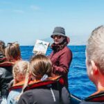 Funchal: Whale and Dolphin Watching Speed Boat Tour - Embarking from Funchal’s Pier at Ventura Nature Emotions