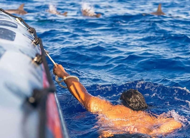 Funchal: Whale Watching and Swimming with Dolphins Cruise - Start Point at Rota dos Cetáceos in Funchal