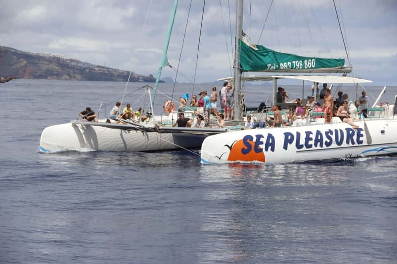 Funchal:Hop-on Hop-off Bus & Whale & Dolphin boat Excursion - Starting Point and Meeting Arrangements in Funchal